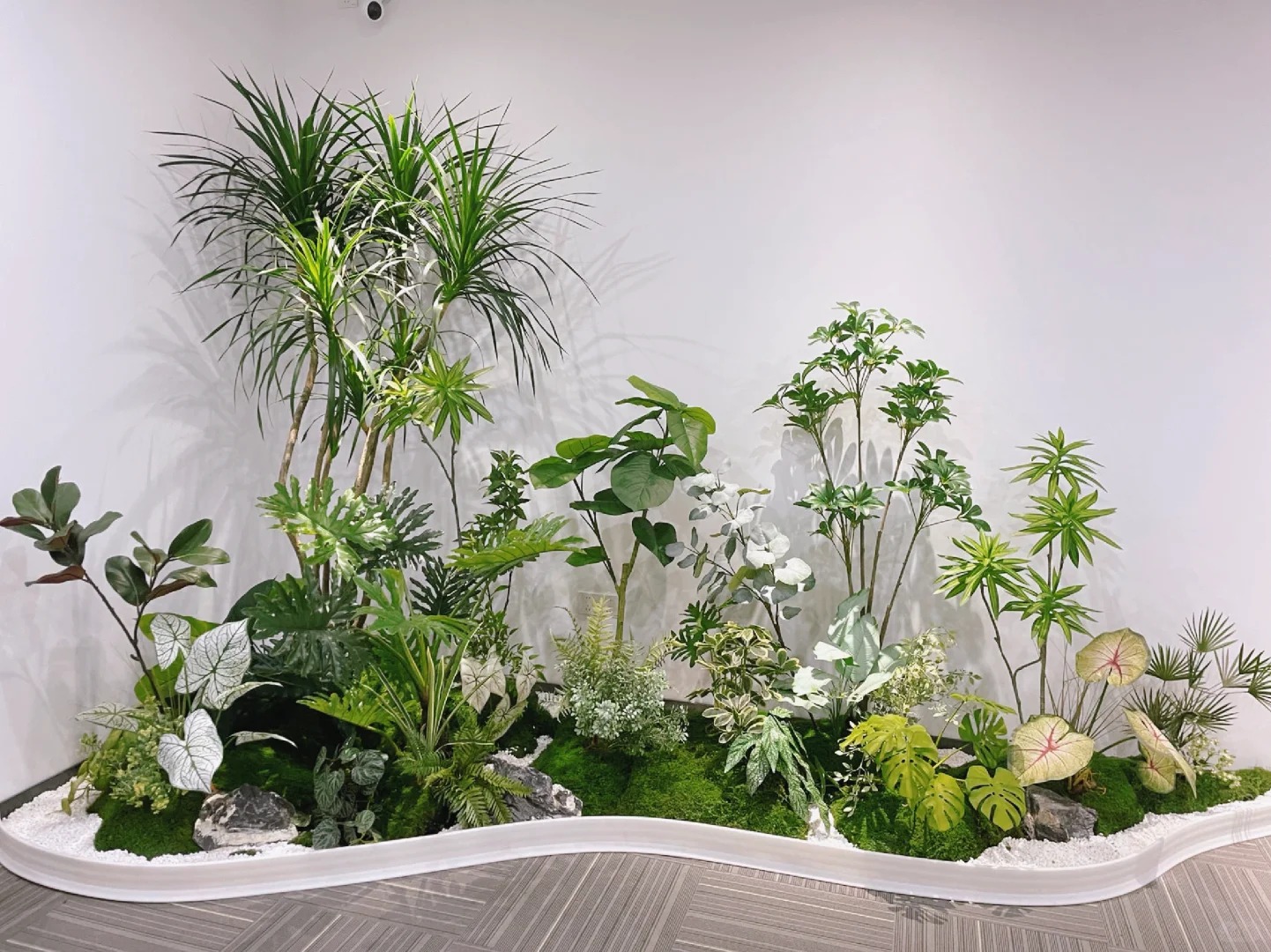 专业花卉出租，宁波鄞州花卉租赁的不二之选